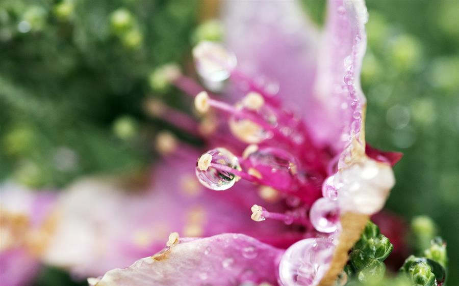 春雨与焦干：形婚现象背后的社会文化反思