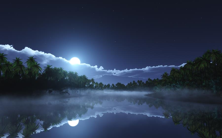 脱下伪装的夜